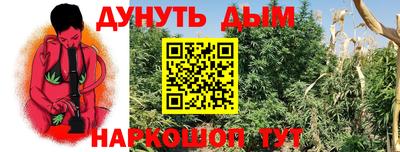 индика Славянск-на-Кубани