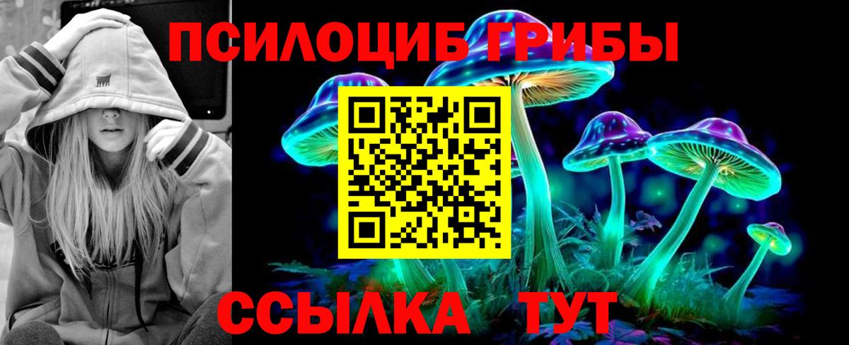 Псилоцибиновые грибы Psilocybe Нурлат